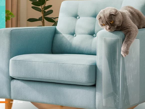 Design e proteção: o protetor anti arranhões da Protect Pet